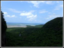 Looking over the jungle