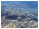 Glass bottom boat ride